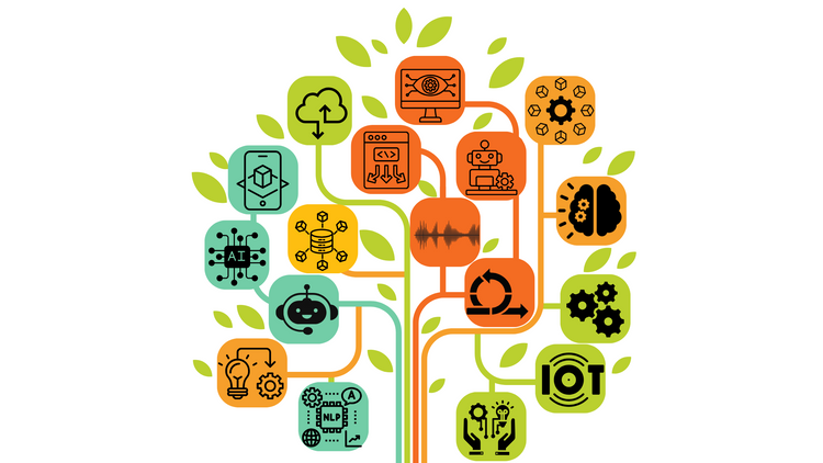 A Universal Imperative: Digital Literacy